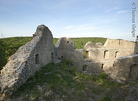 Burgruine Wildenfels (Simmelsdorf, Nürnberger Land)