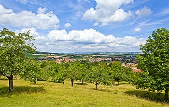 Blick von der Buchleite (Markt Berolzheim, Fränkisches Seenland)