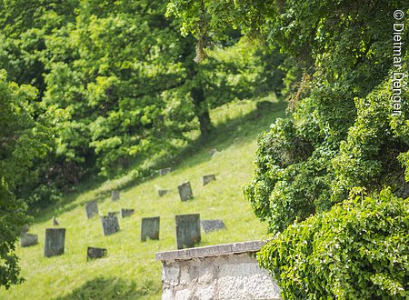 Judenfriedhof (Pappenheim, Naturpark Altmühltal)