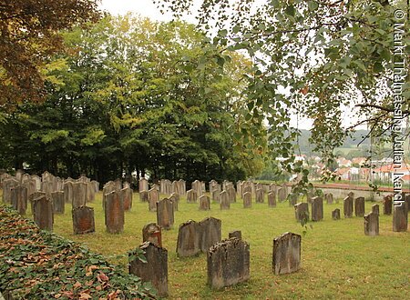 Jüdischer Friedhof (Thalmässing, Naturpark Altmühltal)