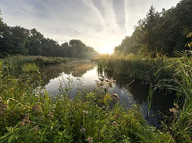 Krugsweiher (Feucht, Nürnberger Land)