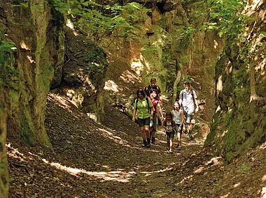 Wandern im Hechlinger Hohlweg (Fränkisches Seenland)