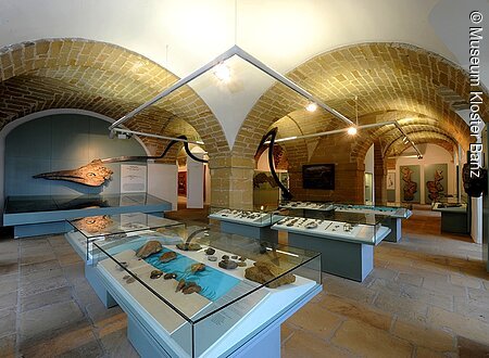 Petrefaktensammlung Museum Kloster Banz (Bad Staffelstein, Obermain.Jura)