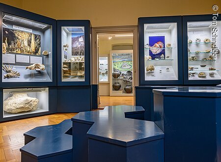 Heimatmuseum (Ebermannstadt, Fränkische Schweiz) Ein Museumsausstellungsraum mit beleuchteten Vitrinen, die Fossilien und Artefakte zeigen. Holzboden und blaue Podeste.