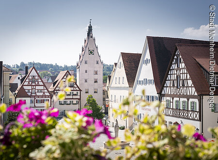 Altstadt (Monheim, Naturpark Altmühltal)