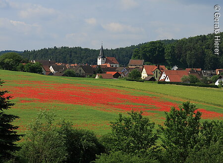 Mohn (Plech, Fränkische Schweiz)